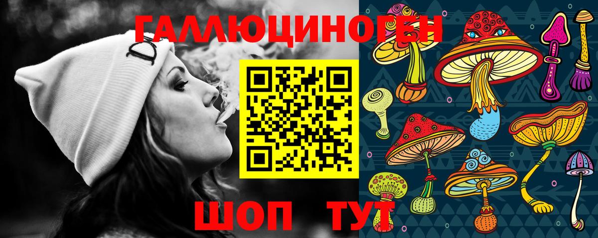 Канаш  Псилоцибиновые грибы Psilocybe  Вход с VPN  Галлюциногенные грибы GOLDEN TEACHER 
