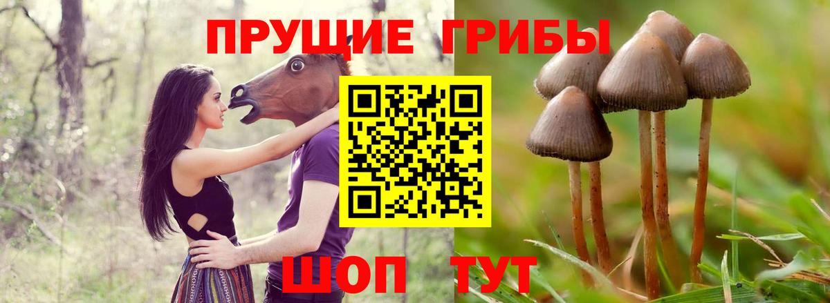 Псилоцибиновые грибы мухоморы Канаш